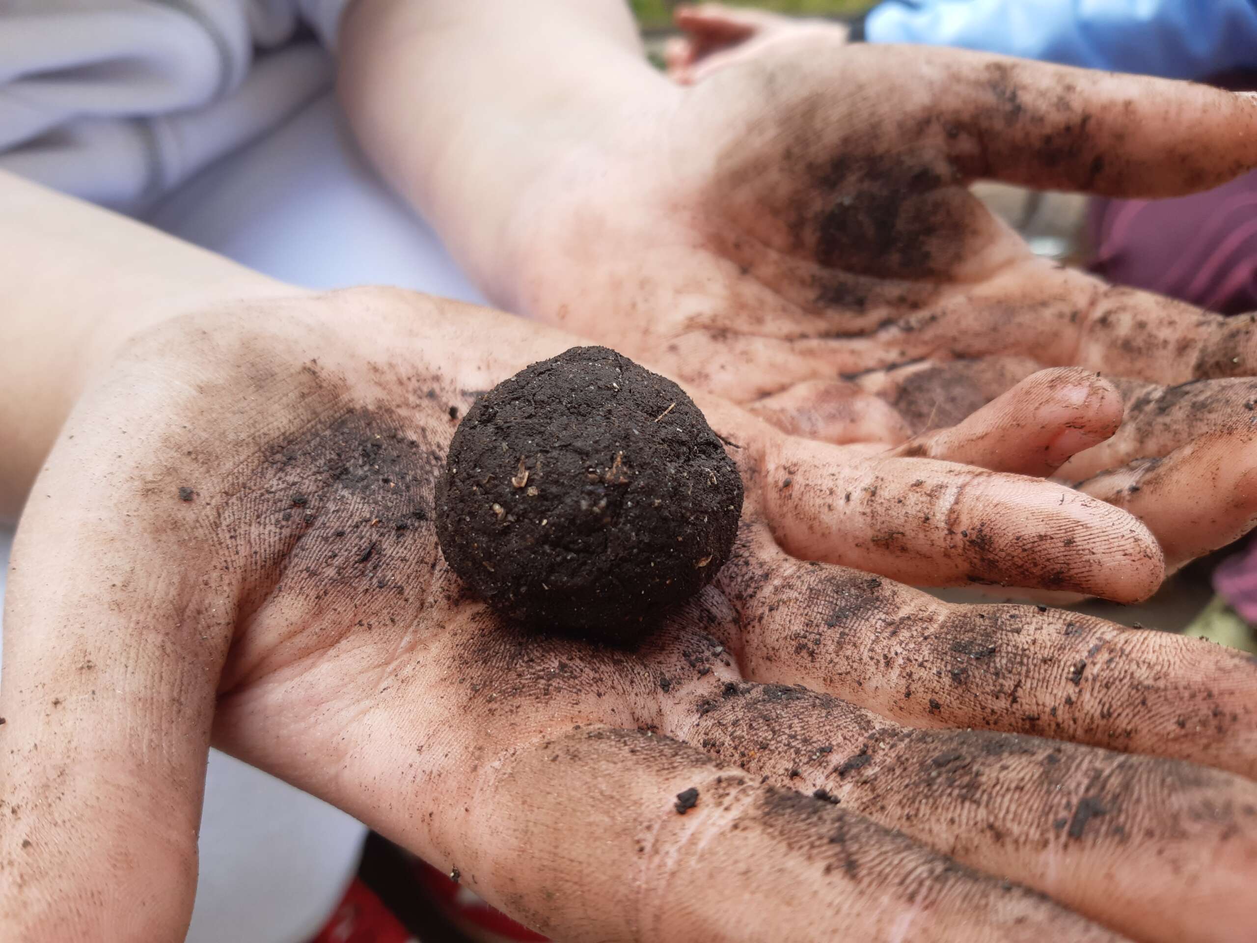 Můj aktivní rok pro přírodu