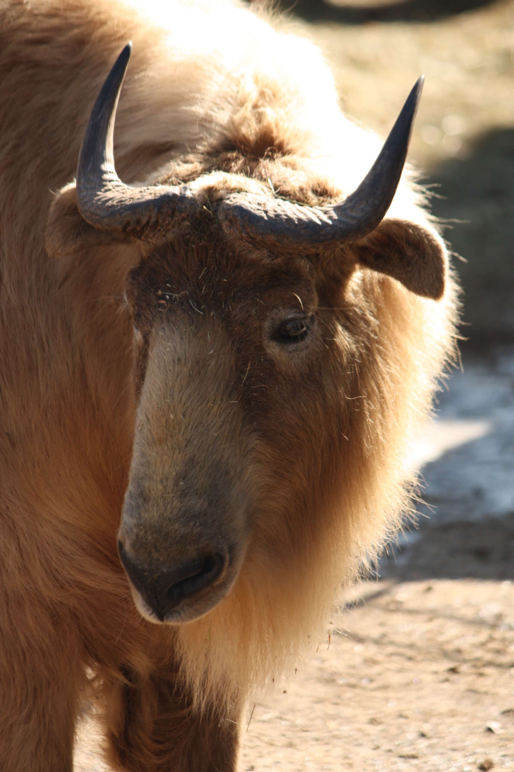 Dobrodružství z poznání